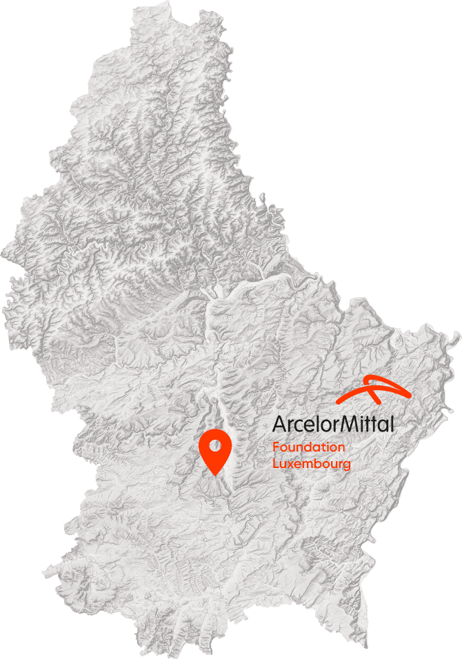 mobile map
